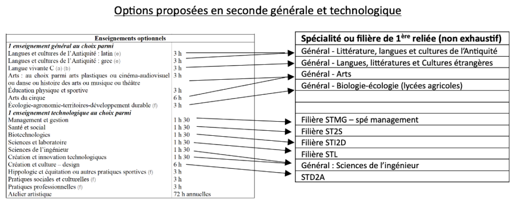 Options en class de seconde générale et technologique.